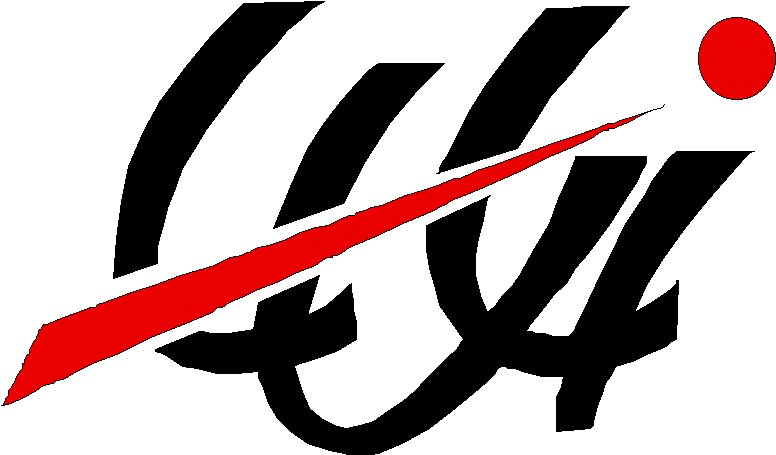 LULI: Call for access to LULI2000